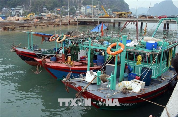 Không cho phép khai thác thủy sản trong vùng di sản vịnh Hạ Long