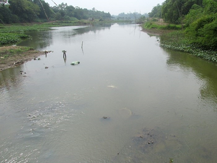 Giải pháp giảm thiểu ô nhiễm môi trường khu vực phía Tây sông Đáy