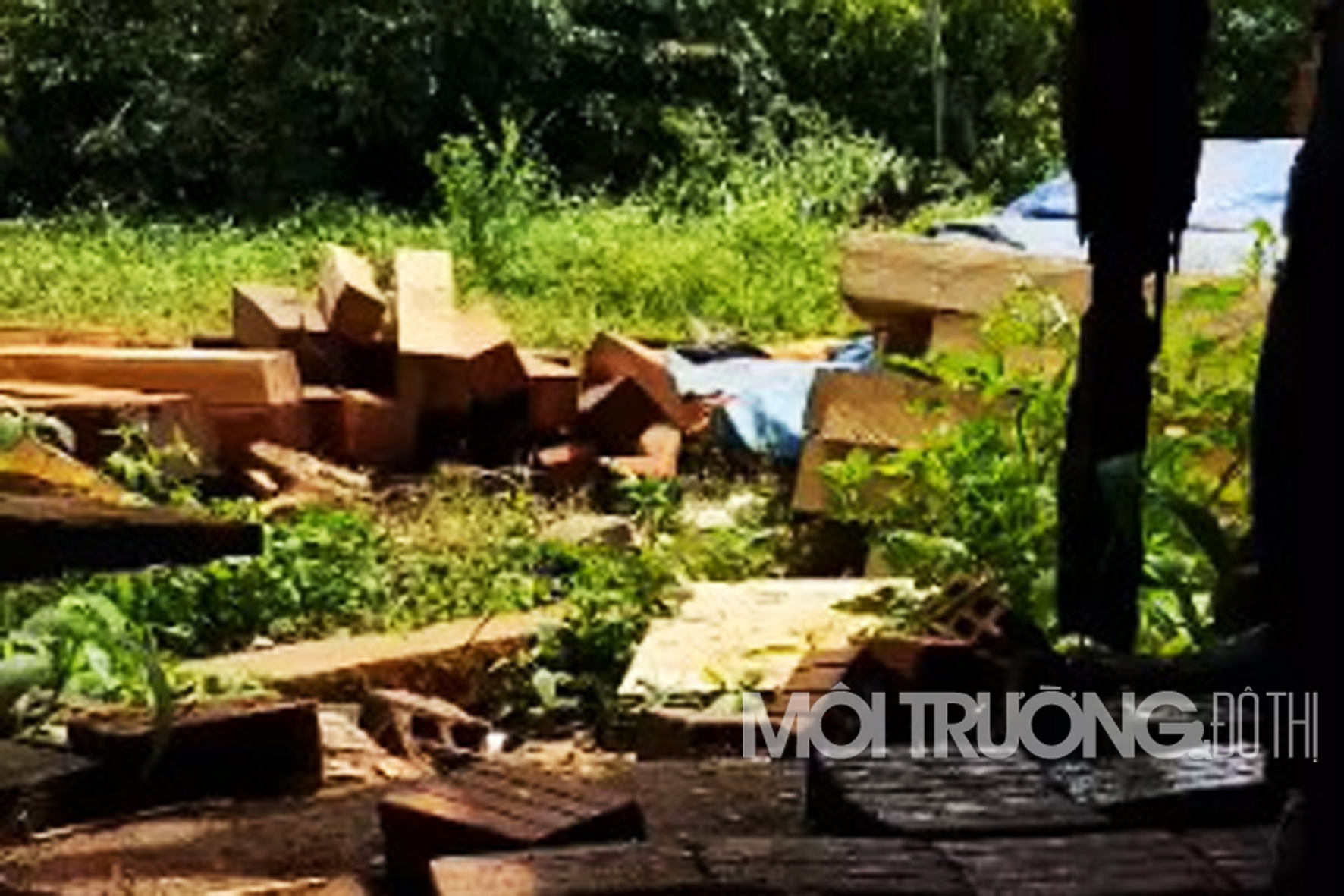 Gia Lai: Tỉnh ủy trực tiếp chỉ đạo xử lý vụ phá rừng tại Mang Yang