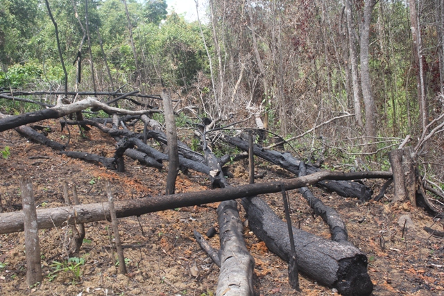 Gia Lai: Ban Quản lý rừng Đắk Đoa trục lợi từ ngân sách 5,3 tỉ đồng