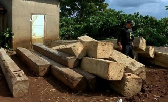 Đắk Lắk: Công an điều tra vụ 170m3 gỗ không rõ nguồn gốc