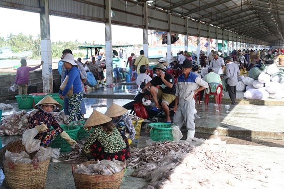 Kiên Giang: Đầu tư 95 tỷ đồng để nâng cấp cảng cá Tắc Cậu