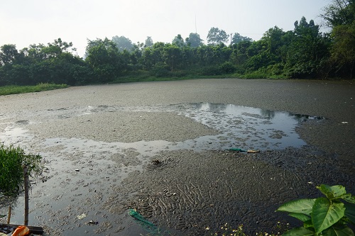 Xả trộm nước bãi rác ra hồ, hai cán bộ Hà Nội bị đình chỉ công tác