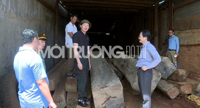 Công an tập kích phát hiện hơn 170 m3 gỗ lậu tại một xưởng cưa