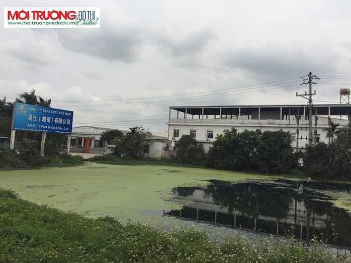 Dừng hoạt động công ty TNHH AOCC Việt Nam gây ô nhiễm môi trường