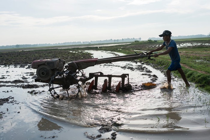 Nông dân Campuchia bị đẩy vào cảnh khốn cùng vì biến đổi khí hậu