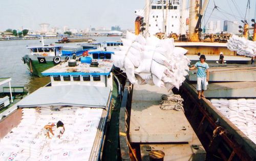 Xuất khẩu gạo Việt Nam: Cần học bơi ra khỏi… “bể cá cảnh”