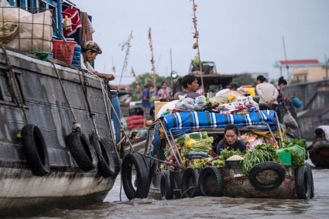 'Việt Nam cần ngăn cơn khát nước ngầm để ĐBSCL không sụt lún'