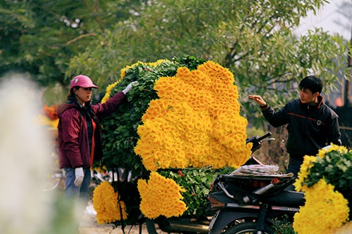 Top địa chỉ mua hoa tươi ngày 20/11 vừa rẻ vừa đẹp tại Hà Nội