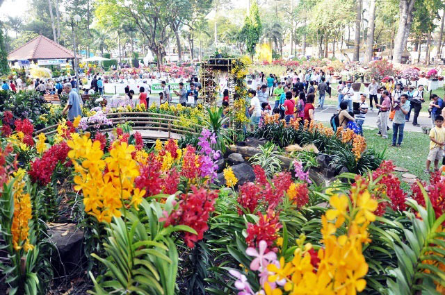 TP.HCM: Lên lịch tổ chức Hội hoa xuân và chợ hoa Tết Kỷ Hợi 2019