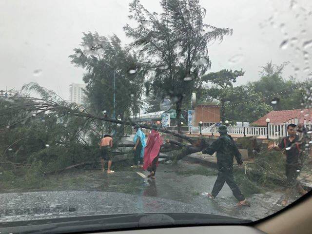 Bà Rịa - Vũng Tàu mưa lớn, gió mạnh, cây cối ngã đổ ở nhiều nơi