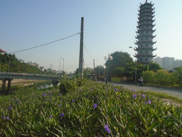 Hà Nội: Lan tỏa con đường hoa trên nền rác thải ven sông Tô Lịch