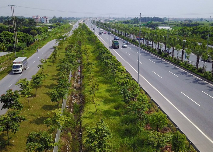 Hà Nội: Trồng hơn 600 cây xanh trong tháng 11