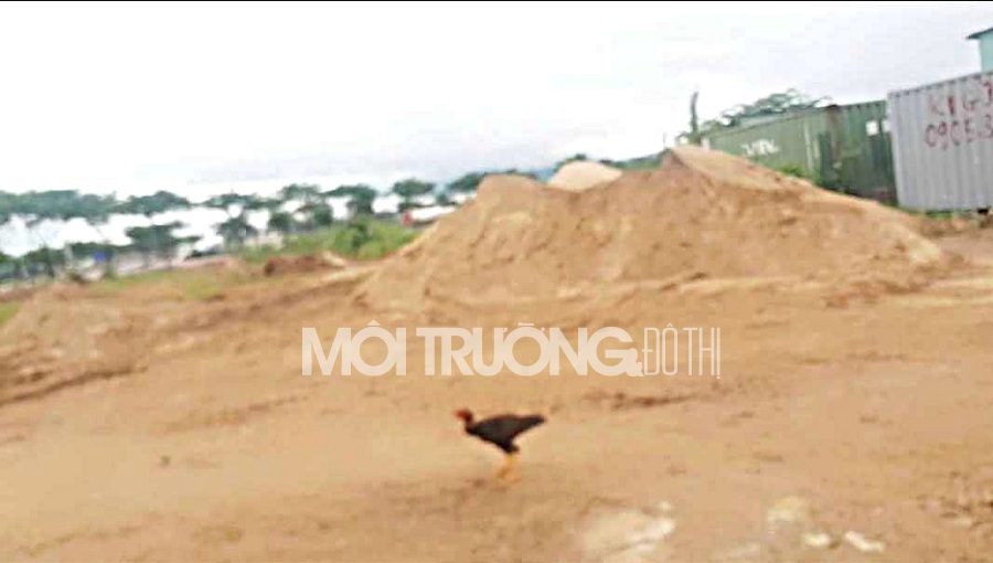 Đà Nẵng: Điểm tập kết cát trái phép hoạt động ngay trước UBND quận