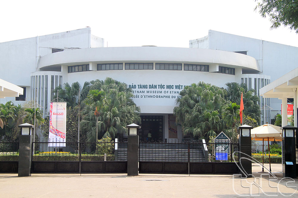 Hà Nội: Nghi vấn mất 2 cây sưa đỏ ở Bảo tàng Dân tộc học Việt Nam?