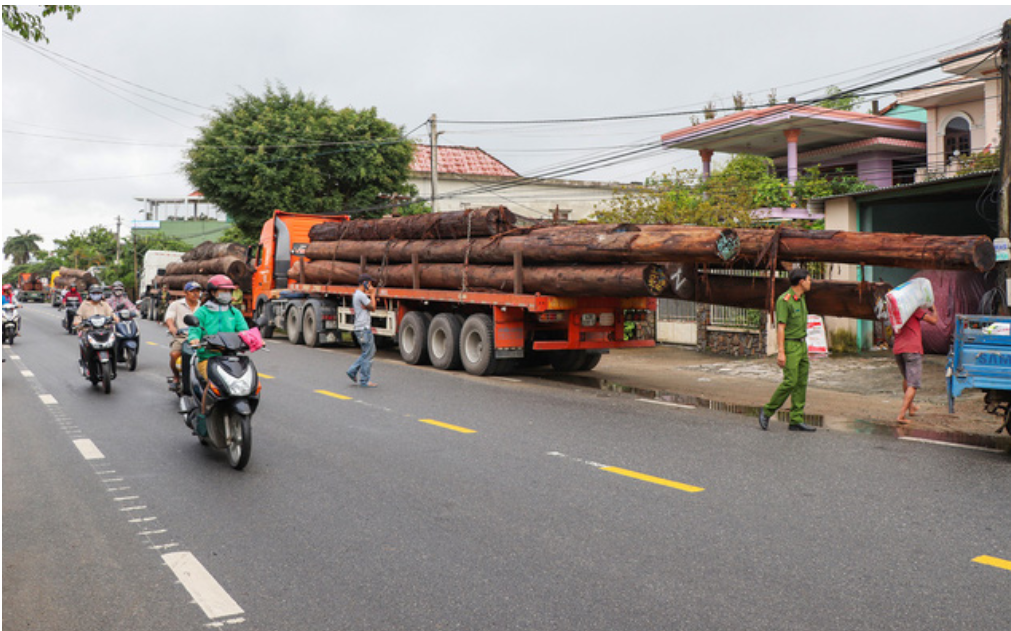 Quảng Nam: CSGT bắt giữ số lượng lớn gỗ không rõ nguồn gốc