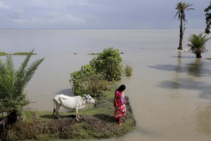 Ngôi làng Ấn Độ mắc kẹt giữa hòn đảo đang chìm dần vì BĐKH