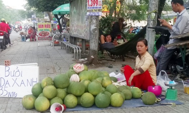 Trung Quốc giảm nhập bưởi và sầu riêng Việt