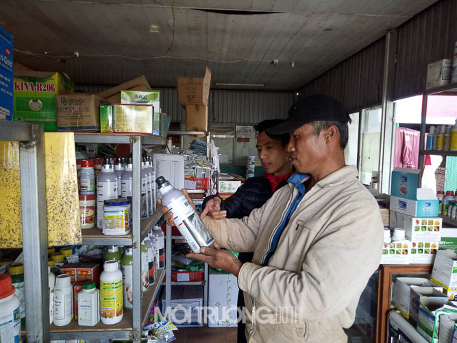Lâm Đồng: Nông dân sử dụng phân bón theo hướng hữu cơ