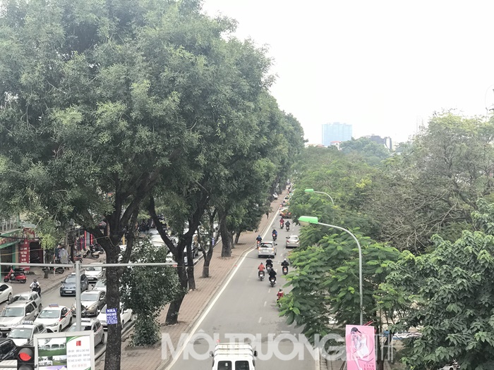 Hà Nội 'trùng tu' đường Láng, chuẩn bị cho Tết Nguyên Đán 2019