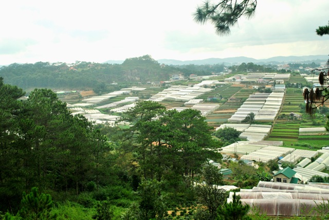 Thủ tướng muốn Lâm Đồng phát triển nông nghiệp theo hướng đa ngành