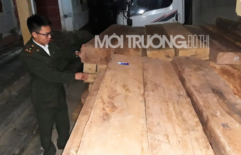 Quảng Bình: Liên tiếp phát hiện bắt giữ xe chở gỗ lậu