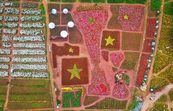 Tạo hình cúp vàng từ 30.000 cây hoa ở Hà Nội