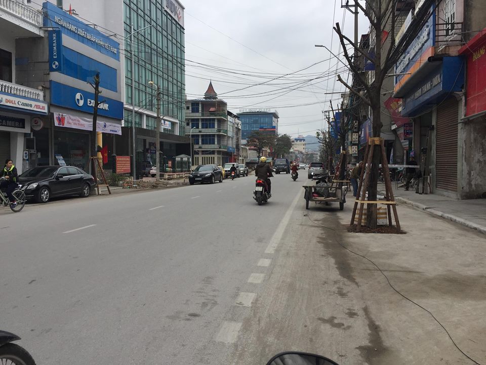 Quảng Ninh: Sở Xây dựng yêu cầu tạm dừng trồng cây dưới lòng đường