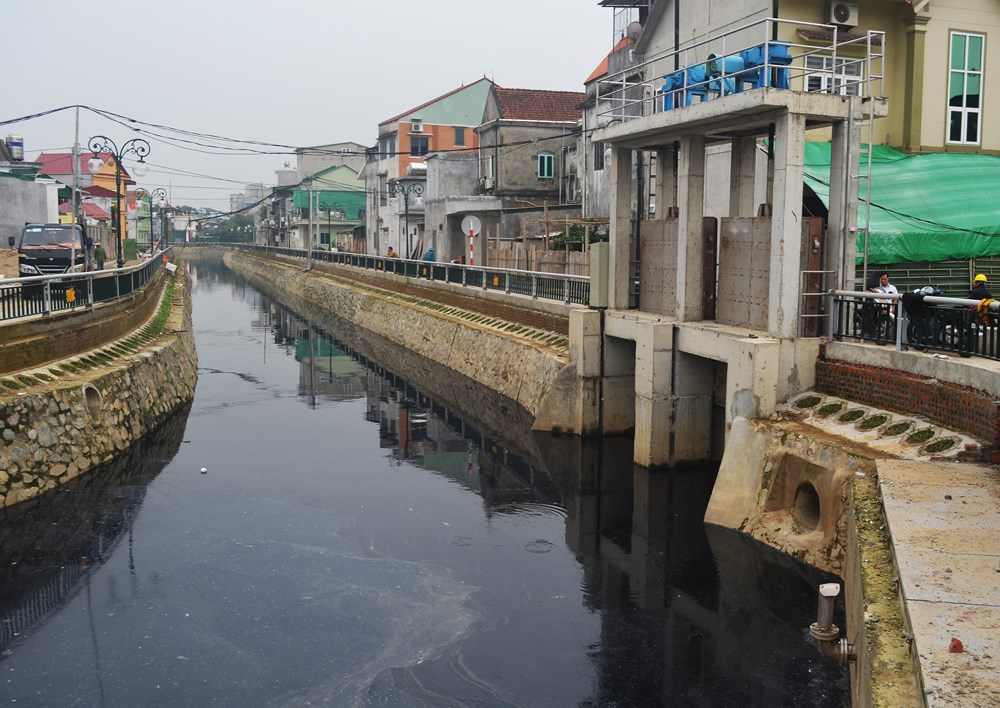 Vụ cá chết trên hào Thành cổ Vinh: Nghi do nước thải nhà máy in