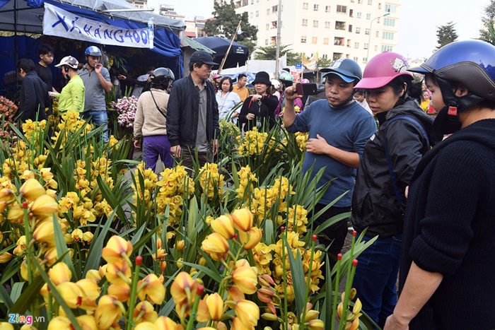 Khách đổ xô mua hoa địa lan bán tháo giá rẻ