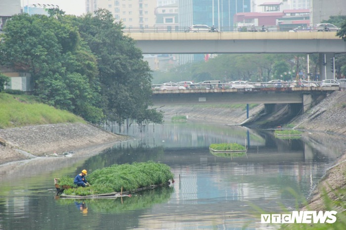 Sau 4 năm thả bè thủy trúc, nước sông Tô Lịch giờ ra sao?