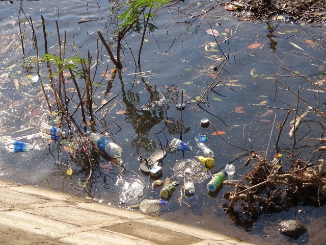 Gia Lai: Rác bao vây mặt nước tại Khu du lịch Biển Hồ