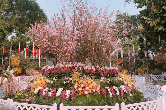 Lễ hội hoa Anh đào Nhật Bản 2019 tại Hà Nội có gì mới?