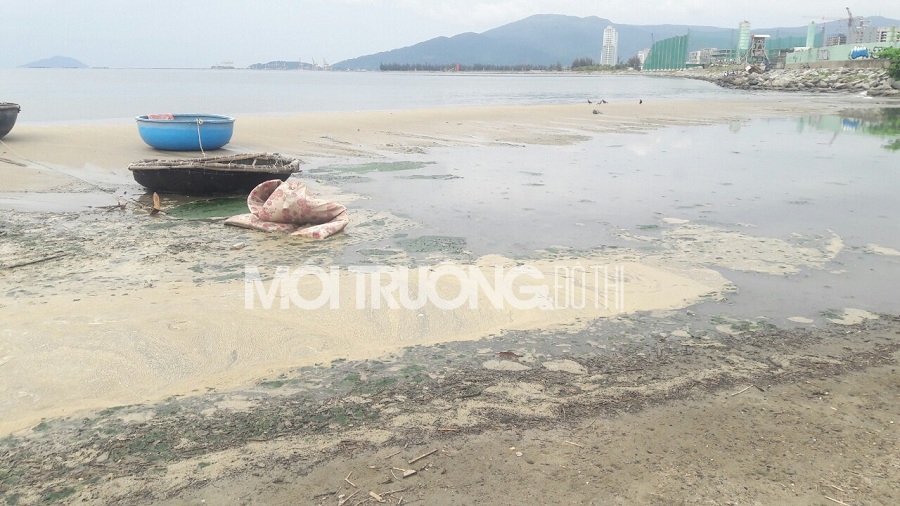 Gần 1 km bờ biển Đà Nẵng bị nước thải sủi bọt vàng đục bủa vây