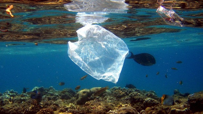 Rác thải nhựa gây ô nhiễm cả những vùng biển sâu nhất