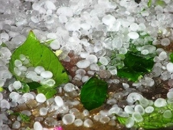 Dự báo thời tiết ngày 7/3: Bắc Bộ Mưa rét, vùng núi đề phòng mưa đá
