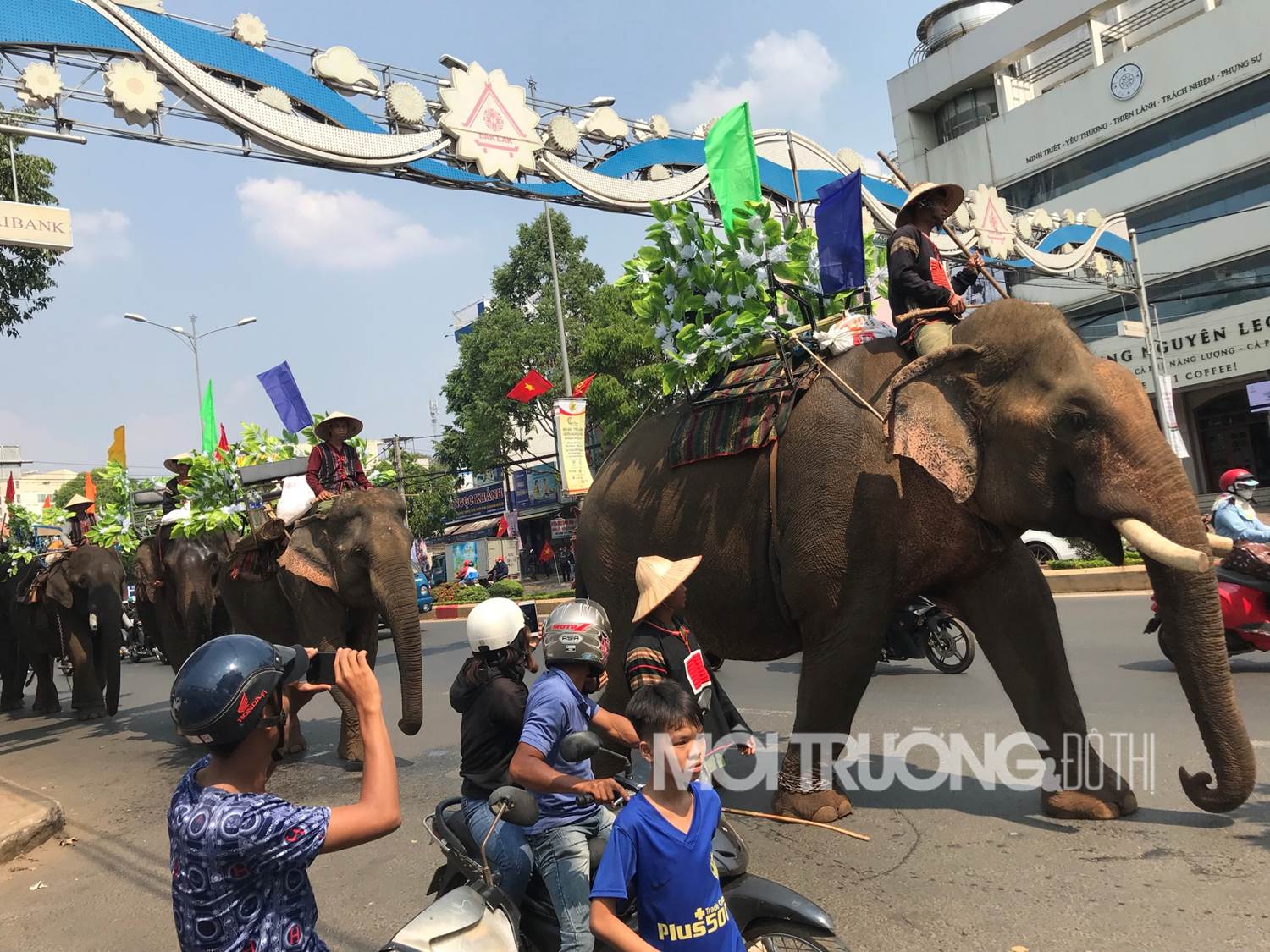 Người dân thích thú với đàn voi diễu hành trên phố ở Lễ hội Cà phê
