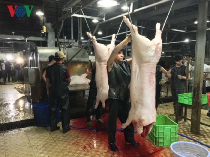 TP.HCM: Thắt chặt kiểm soát thịt lợn ứng phó với dịch tả Châu Phi