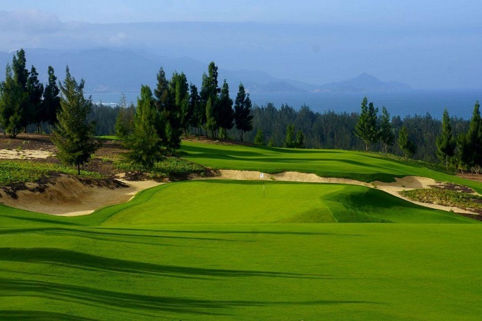 Forbes: Việt Nam là thị trường golf tăng trưởng nhanh nhất thế giới