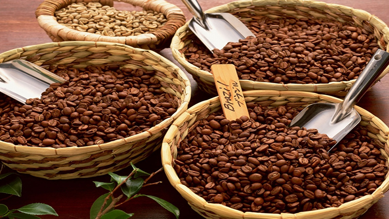 Giá cà phê hôm nay 14/3: Đồng loạt giảm 100 đồng/kg