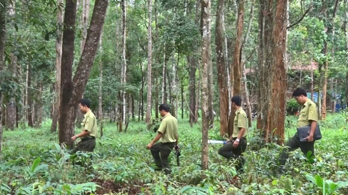 Hơn 28.500 tỉ đồng để bảo vệ, phát triển rừng Tây nguyên