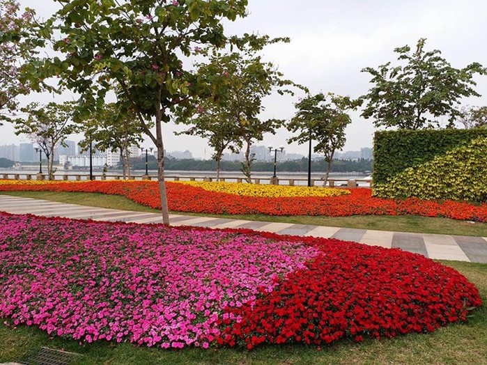 Quảng Châu - 'Thành phố vườn hoa của thế giới'