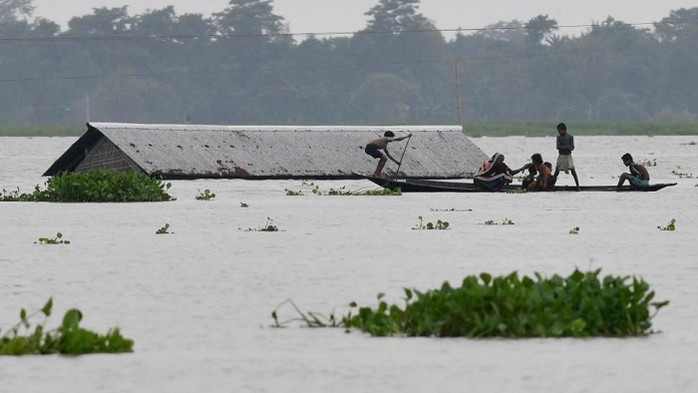 Thảm họa lũ lụt ở Nam Á cướp đi sinh mạng hàng trăm người
