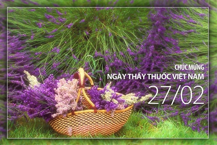 Thiệp ngày thầy thuốc Việt Nam 272 đẹp nhất