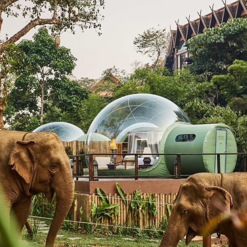 Nhờ phòng 'bong bóng', du khách có thể dễ dàng quan sát đời sống thiên nhiên. Ảnh: @iranianthailand