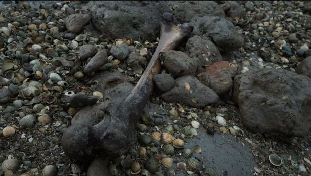 'Hòn đảo chết chóc' được coi là 'mồ chôn tập thể' của những nạn nhân có thật trong lịch sử. Ảnh: BBC.