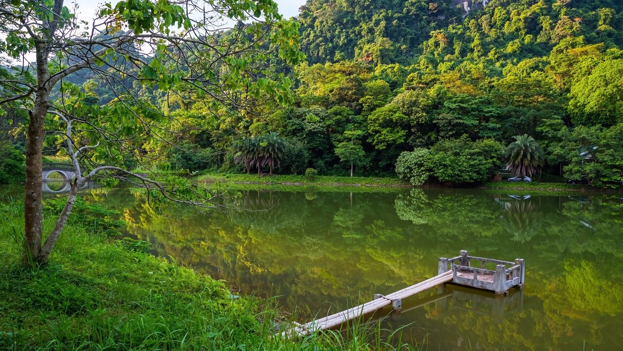 Cúc Phương là vườn quốc gia đầu tiên tại Việt Nam.