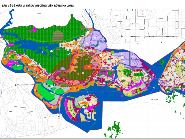Vingroup đề xuất làm công viên rừng quy mô 650 ha tại TP Hạ Long - Ảnh 1.