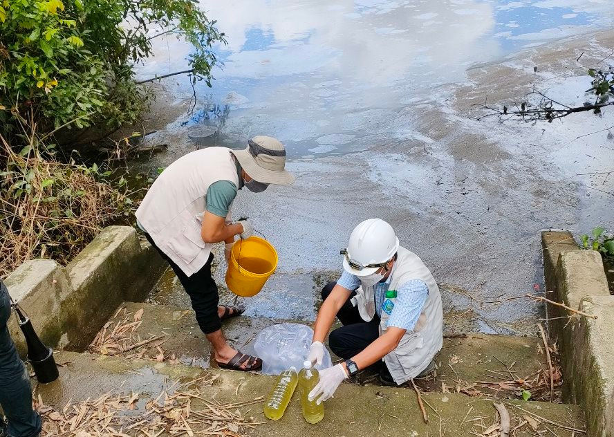 Thừa Thiên - Huế: Cá chết bất thường, nghi doanh nghiệp xả thải