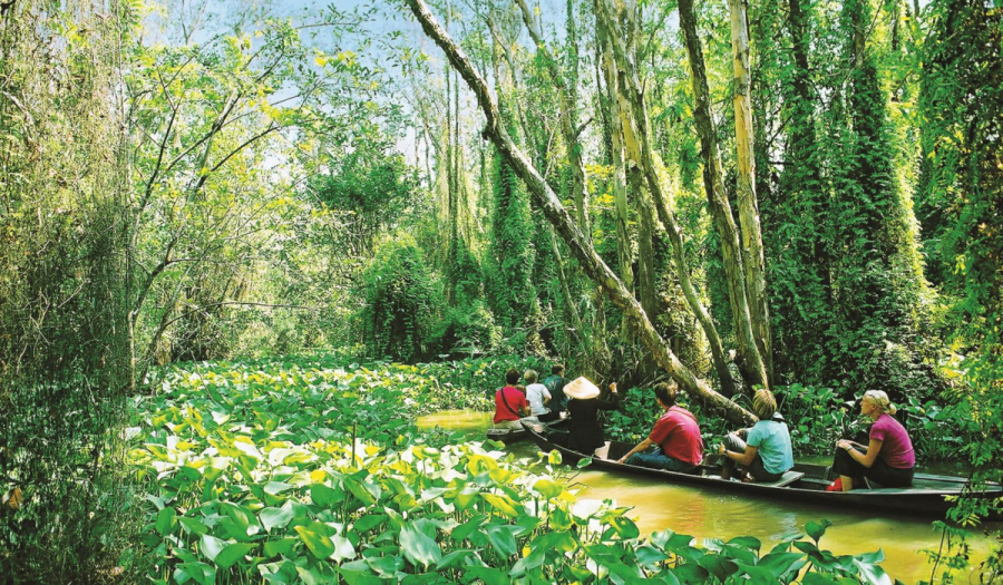 Tổng diện tích của Xẻo Quýt khoảng 50 ha, trong đó 20 ha là rừng tràm trà nguyên sinh xanh mát.